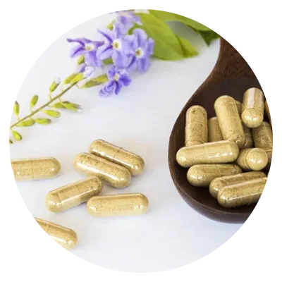 Ayurvedic Capsules Manufacturers