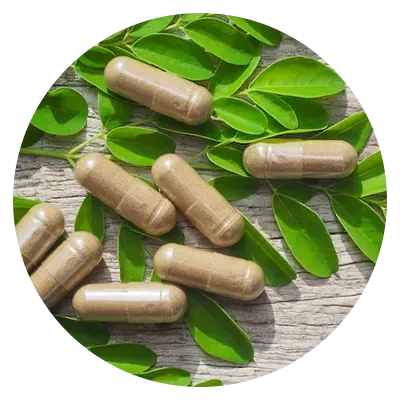 Ayurvedic Dietary Supplements Manufacturers