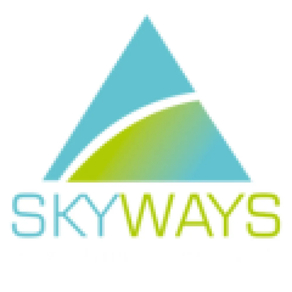 Skyways Healthcare Pvt. Ltd logo
